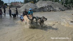 Banjir Bandang di Bangga, Sigi