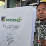 Ketua Startegi Nasional Satgas REDD+ (Reduksi Emisi dari Deforestasi dan Degradasi hutan dan lahan gambut Plus), Mubariq Ahmad (kanan) menunjukkan dokumen tentang persiapan kelembagaan REDD+ di Palu, Sulawesi tengah, Kamis (21/6). REDD+ menetapkan 15 propinsi di Indonesia sebagai kawasan impelementasi REDD+ karena 90 persen wilayahnya adalah hunian hutan. FOTO ANTARA/Basri Marzuki/Koz/nz/12.