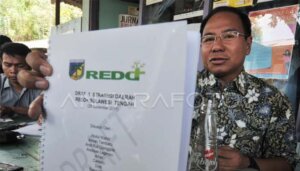 Indonesia Akhiri Kerja Sama REDD+ dengan Norwegia
