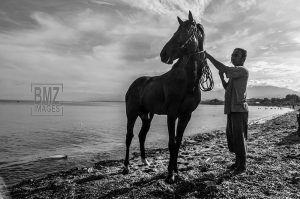 Forum Komunikasi Orang Bugis Sulawesi Tengah Resmi Terbentuk