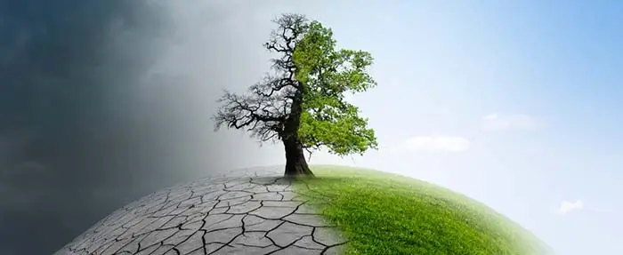 Ilustrasi perubahan iklim © by-studio/Shutterstock