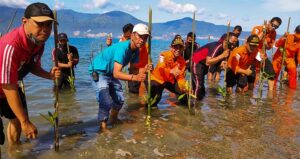 Lindungi Pantai, Basarnas Palu Tanam Mangrove di Bekas Tsunami