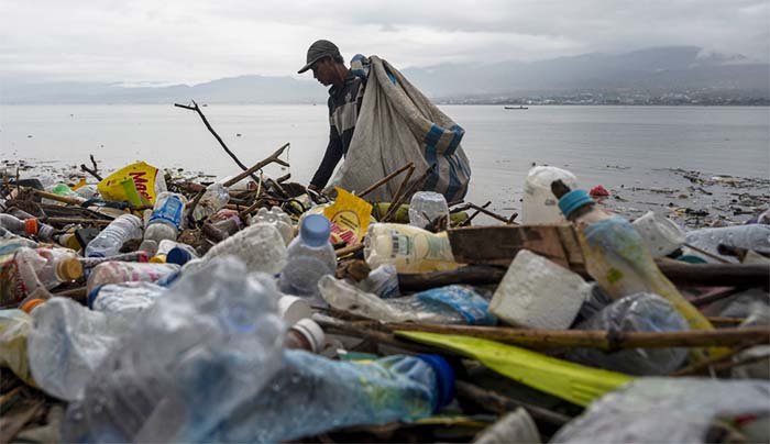 Ilustrasi pemulung mencari barang bekas di tumpukan sampah di Palu. (Foto: bmzIMAGES/Basri Marzuki)