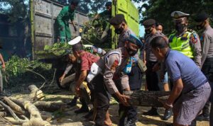 Angin Kencang di Palu, Pohon Tumbang, Banjir, Warga Dievakuasi
