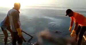 Diduga Jatuh ke Sungai, Ditemukan Sudah Membusuk di Pantai