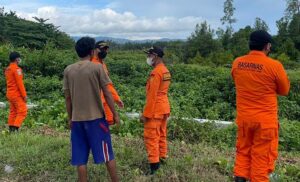 Pemburu Kelelawar Hilang di Hutan Bakau, Basarnas Turun Tangan