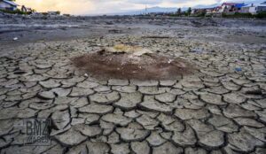 Benarkah Menghapus E-mail Bisa Kurangi Pemanasan Global? Ini Penjelasannya