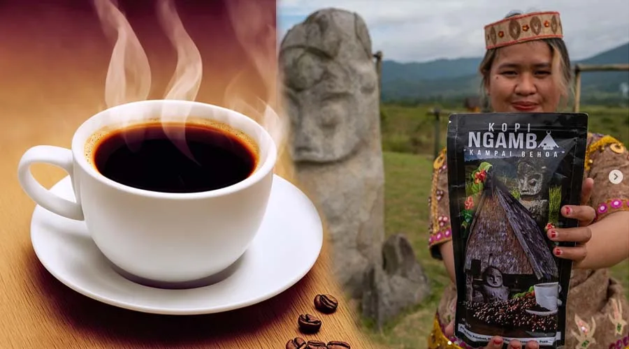 Produk Kopi Ngamba, Kampai Behoa diperagakan model di kawasan megalit patung Tadulako, Barisi, Lore Tengah, Poso, Sabtu (17/6/2023). (Foto; bmzIMAGES/Basri Marzuki)