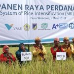 panen perdana padi organik