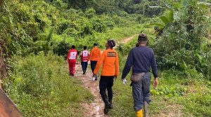 Tidak Kembali, Seorang Pencari Kayu Gaharu Dicari Tim SAR