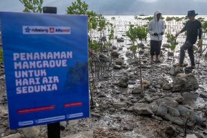 Peringati Hari Air Sedunia dengan Tanam Mangrove