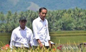 Presiden Jokowi Apresiasi Panen Padi di Sigi