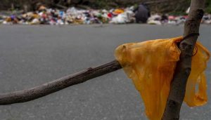 Pembatasan Kantong Plastik di Palu Berlaku Efektif Setelah HUT RI