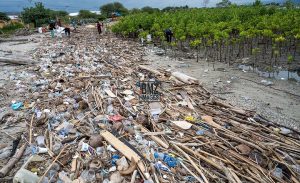Lelah Tak Bertepi Tangani Sampah Laut Kiriman di Teluk Palu
