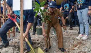 Pemkot Palu Tanam Pohon di Sigi