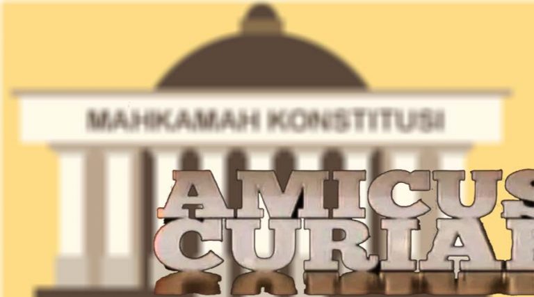 amicus curiae