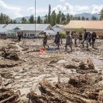 Sejumlah warga berjalan di lapangan desa yang tertutup material lumpur dan serakan potongan batang kayu akibat banjir bandang di Desa Balongga, Kecamatan Dolo Selatan, Kabupaten Sigi, Sulawesi Tengah, Kamis (18/4/2024). Dua desa yakni Desa Balongga dan Desa Sambo di wilayah itu diterjang banjir bandang akibat intensitas hujan yang cukup tinggi di hulu sungai pada Rabu (17/4) malam dan menimbun sejumlah rumah-rumah warga, menghanyutkan ternak dan merusak ratusan hektar lahan pertanian. bmzIMAGES/Basri Marzuki