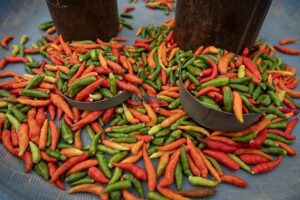 Harga Cabai Rawit masih Pedis