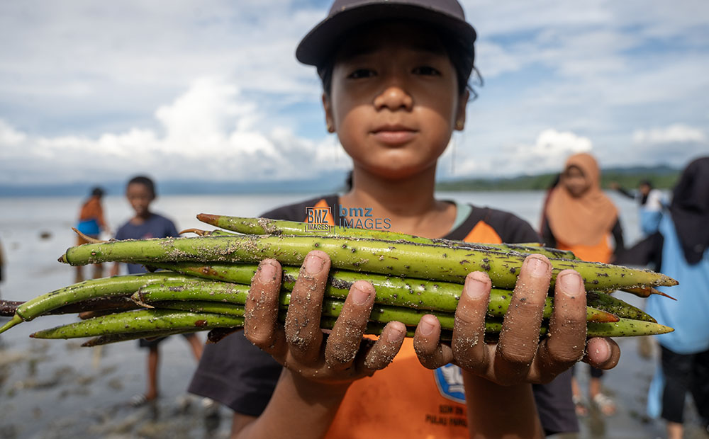 Seorang pelajar menunjukkan propagul atau bibit pohon bakau sebelum ditanam di pesisir pantai Pulau Pangalasiang, Sojol, Donggala, Sulawesi tengah, Sabtu (8/6/2024). (bmzIMAGES/Basri Marzuki)