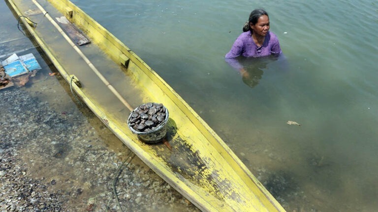 Mencari Meti di pinggir sungai La'a, Pamona Timur, Morowali Utara.