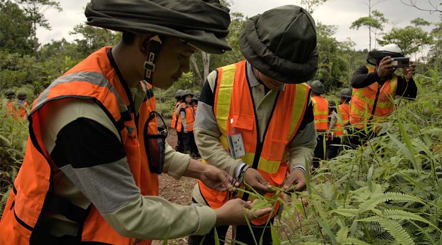 Sejumlah mahasiswa memperhatikan tumbuhan di pusat nursery Vale IGP Pomalaa pada studi lapang pengelolaan halan pascatambang, Minggu (14/7/2024). (Foto: PT Vale)