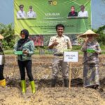 Wali Kota Palu diwakili Sekkot Palu, Irmayanti (kedua kanan) bersama Kepala Dinas Pertanian dan Ketahanan Pangan Kota Palu, Assharini Mastura (kedua kiri), Kabid Hortikulturan Dinas Tanaman Pangan dan Hortikultura Provinsi Sulteng, Mahrudin (kanan) dan PPL Kelurahan Kawatuna, I Made Sutiyasa (ketiga kanan), dan Bainsa Kawatuna mengangkat bibit bawang merah sebelum ditanam pada Gerakan Tanam bawang merah di Kelurahan kawatuna Palu, Kamis (8/8/2024). (Foto: bmzIMAGES/bmz)