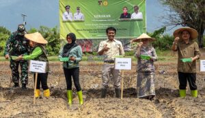 Kendalikan Inflasi, Pemkot Palu Luncurkan Gerakan Tanam Bawang Merah