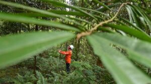 PT Vale Tunjukkan Pemulihan Fungsi Lahan Pascatambang