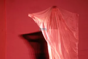 Palu Menari Festival yang Energik