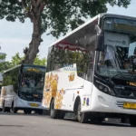 Warga memotret bus Trans Palu sesaat setelah dilaunching di Halaman kantor Wali Kota Palu, Jumat (20/9/2024). (Foto: bmzIMAGES/basri marzuki)