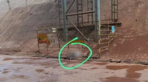 SPIM-KPBI Nilai PT WNII di Morowali Tak Manusiawi