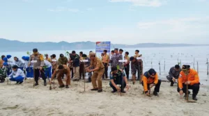 Tanam Mangrove Peringati Hari Maritim Nasonal di Pantai Baiya