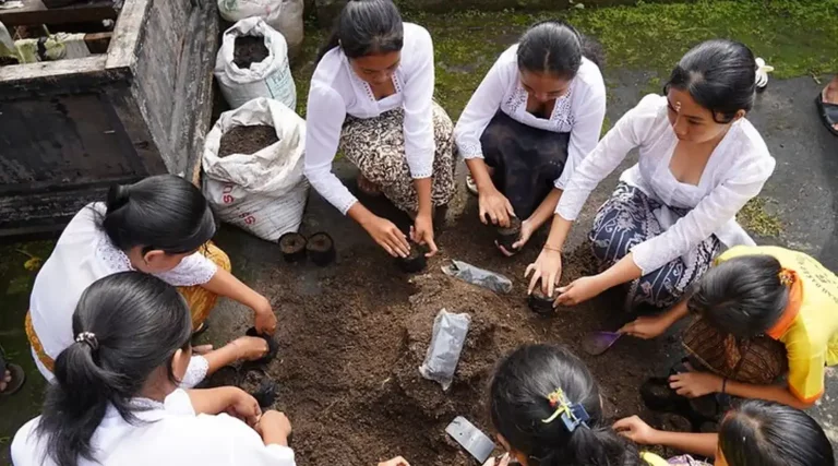 Beberapa pelajar sedang mengisi tanah subur ke dalam polybag untuk media semai salak. (©️FAO/Harriansyah)