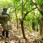 Seorang personel Tim ALfa 1 Satgas Madago Raya berpatroli di dalam hutan di Poso, Minggu (22/9/2024). (Foto: Humas Satgas Madago Raya)
