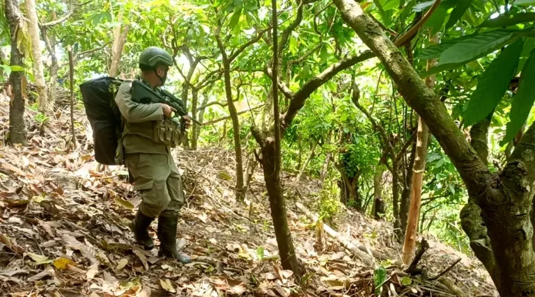 Seorang personel Tim ALfa 1 Satgas Madago Raya berpatroli di dalam hutan di Poso, Minggu (22/9/2024). (Foto: Humas Satgas Madago Raya)