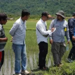 Petugas melakukan evaluasi penerapan standar pertanian organik di Desa Ululere, Bungku Timur, Morowali, Minggu (22/9/2024). (Foto: PT Vale Indonesia)