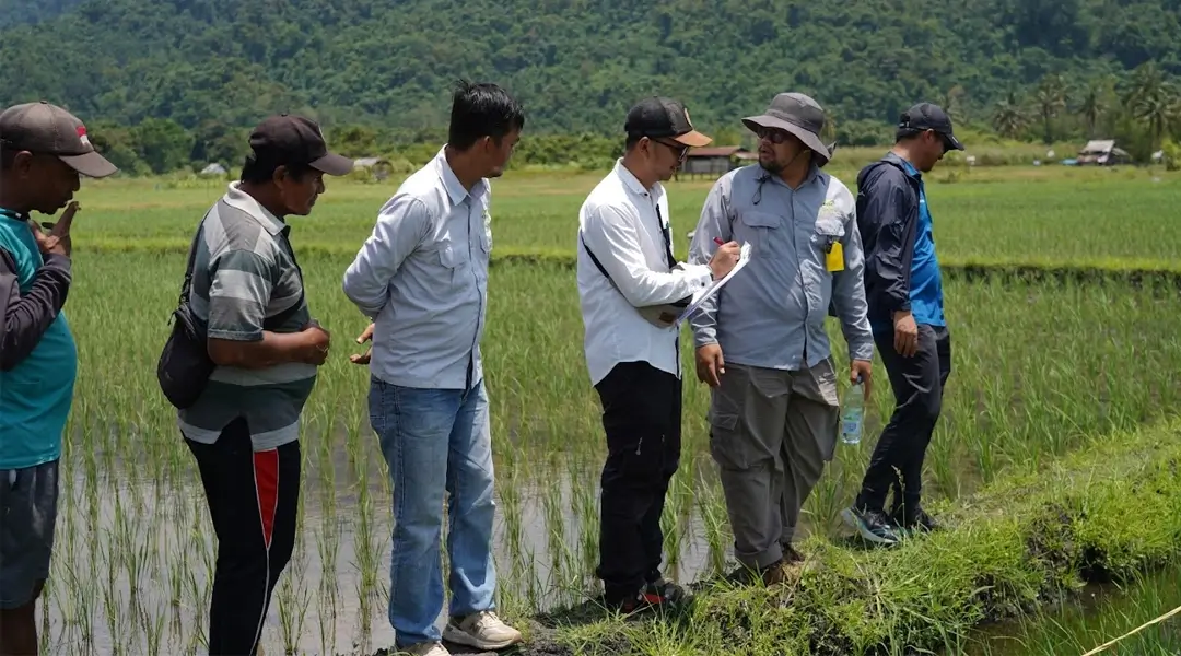 Petugas melakukan evaluasi penerapan standar pertanian organik di Desa Ululere, Bungku Timur, Morowali, Minggu (22/9/2024). (Foto: PT Vale Indonesia)