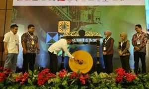 Telaah Kritis Industri Nikel: Menggali Keadilan Sosial dan Lingkungan