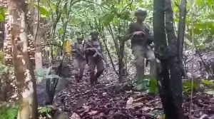 Operasi Madago Raya di Poso Berlanjut ke Tahap IV