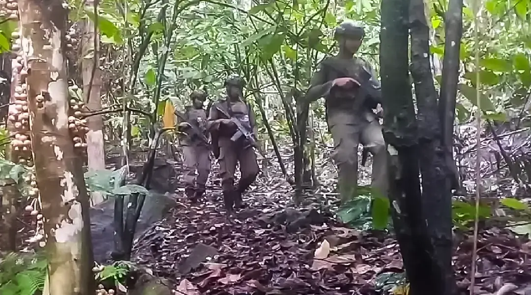 Sejumlah personel Polri melakukan patroli jalur klasik di Poso pada Operasi madago Raya. (Foto: Tangkapan Layar Satgas Ops Madago Raya)