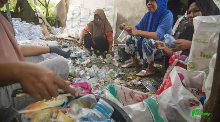 Sejumlah ibu rumah tangga memilah sampah plastik berdasarkan jenisnya di Bank Sampah Mompakasango di Palu, Sulawesi Tengah, Jumat (3/2/2023). (Foto; bmzIMAGES/basri marzuki)