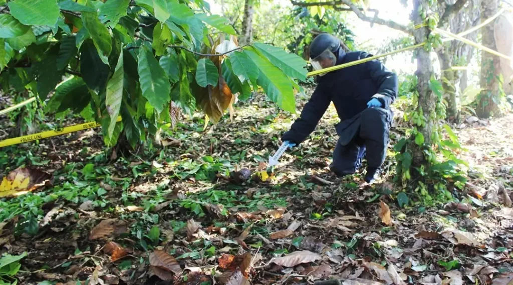 Personel Gegana Satbrimob Polda Sulteng melakukan olah TKP di lokasi penemuan bom rakitan di Poso, Selasa (15/10/2024). (Foto: Humas Satgas Ops Madago Raya)