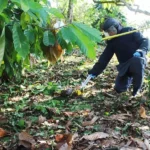 Personel Gegana Satbrimob Polda Sulteng melakukan olah TKP di lokasi penemuan bom rakitan di Poso, Selasa (15/10/2024). (Foto: Humas Satgas Ops Madago Raya)