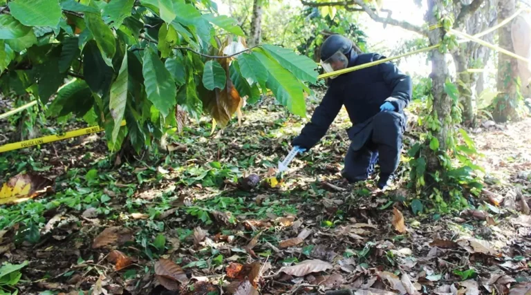 Personel Gegana Satbrimob Polda Sulteng melakukan olah TKP di lokasi penemuan bom rakitan di Poso, Selasa (15/10/2024). (Foto: Humas Satgas Ops Madago Raya)