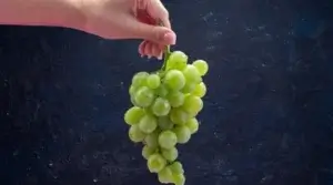 Ini Penjelasan BPOM Terkait Keamanan Pangan Anggur Shine Muscat