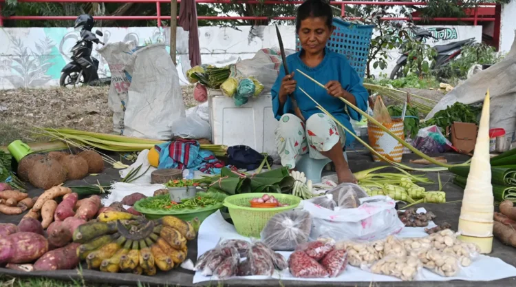 Pedagang musiman rempah dan sayuran asal Desa Petimbe, Palolo Sigi ,menunggu pembeli di Palu, Minggu (29/12/2024). (Foto: beritapalu.com/bmz)