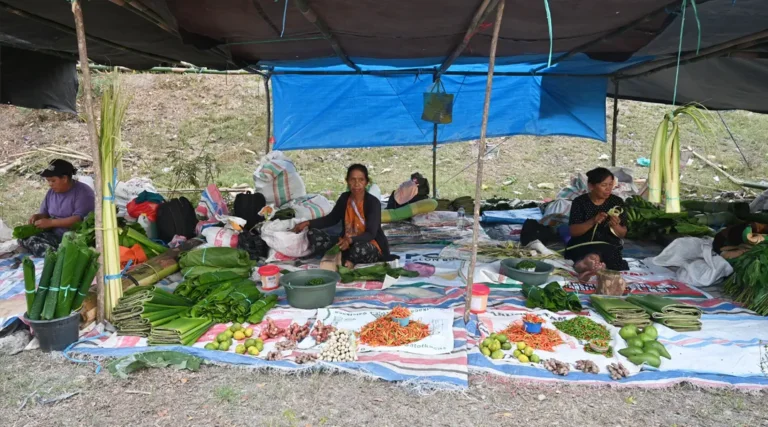 Pedagang musiman rempah dan sayuran asal Desa Petimbe, Palolo Sigi ,menunggu pembeli di Palu, Minggu (29/12/2024). (Foto: beritapalu.com/bmz)
