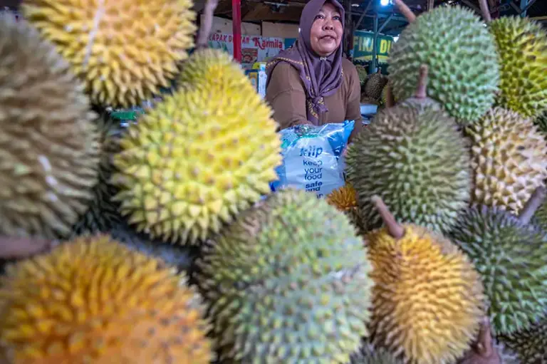 Pedagang melayani pembeli durian di pusat penjualan durian Hutan Kota, Palu, Sualwesi tengah, Jumat (18/1/2025). (Foto: bmzIMAGES/Basri Marzuki)