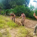 Sejumlah personel Satgas Madago Raya mencangkul di lahan pertanian untuk menjaga ketahanan pangan di Poso, Selasa (7/1/2025). (Foto: Humas Satgas Madago Raya)