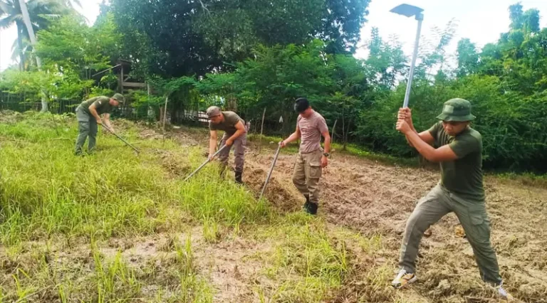 Sejumlah personel Satgas Madago Raya mencangkul di lahan pertanian untuk menjaga ketahanan pangan di Poso, Selasa (7/1/2025). (Foto: Humas Satgas Madago Raya)